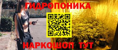 гидра Шахты