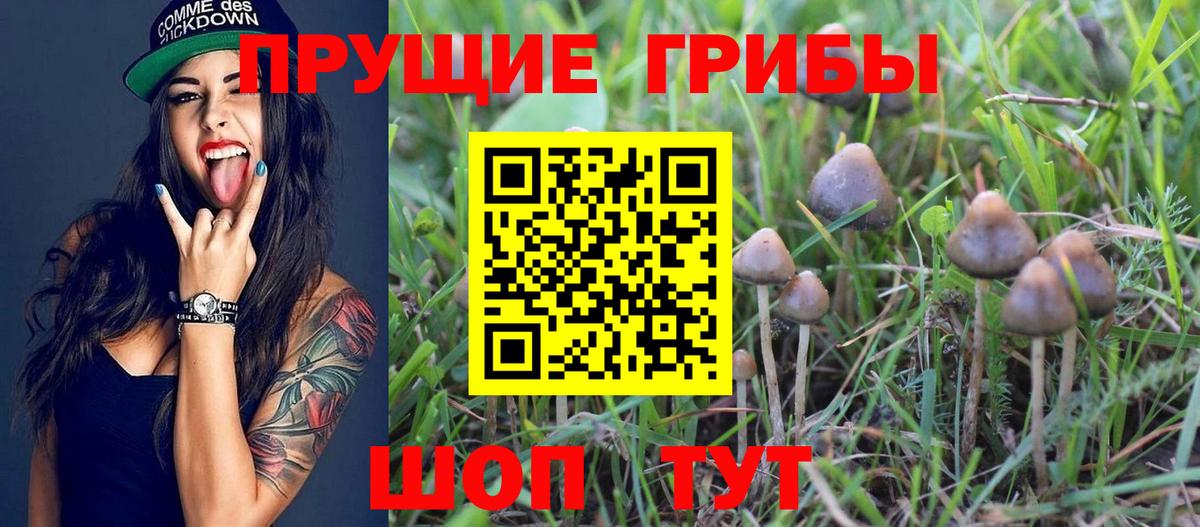 Галлюциногенные грибы мухоморы Электрогорск